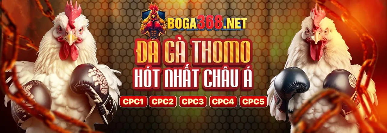 Chương trình khuyến mãi hấp dẫn của vipbet